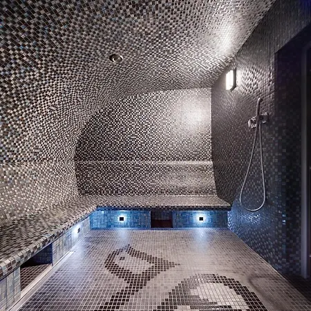 Raymond 4* 트루스카베츠