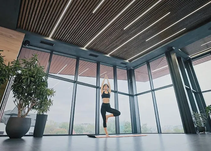 Raymond 4* Трускавец